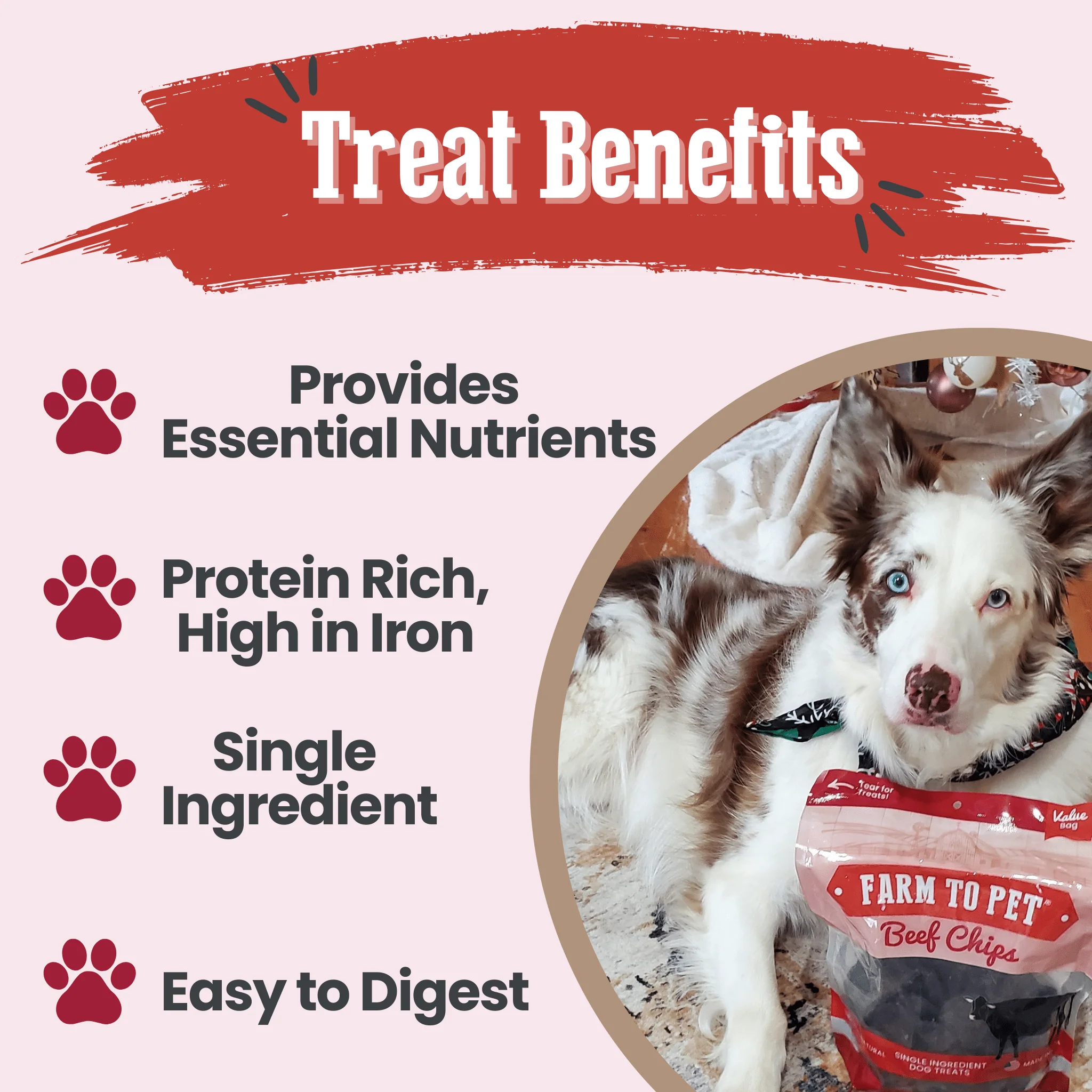 Beef Chips Dog Treats | Single-Ingredient Healthy Treats for Dogs - Image 13