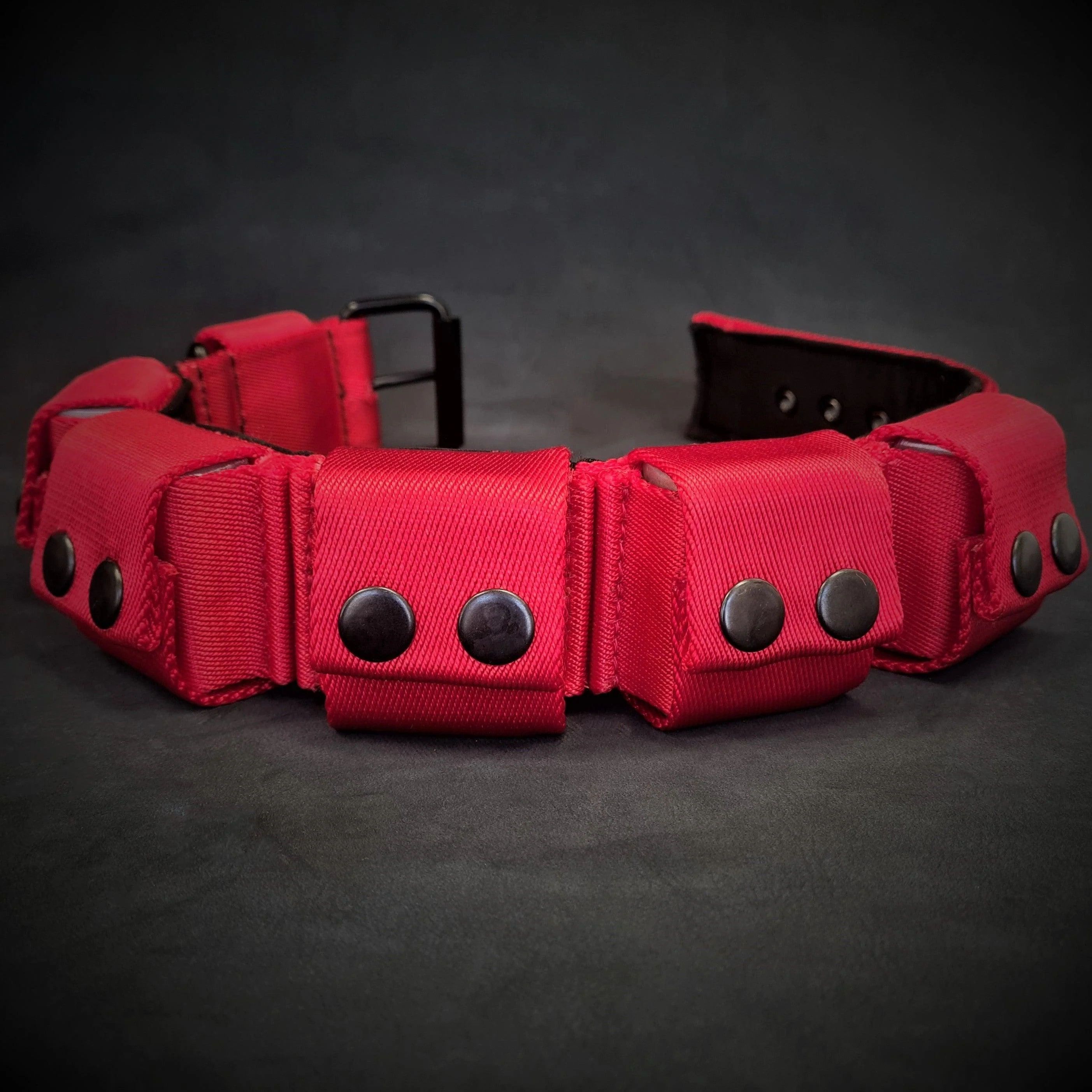 Weighted dog training collar- Red. Large breeds. 5 lbs total. removable weights - Image 3