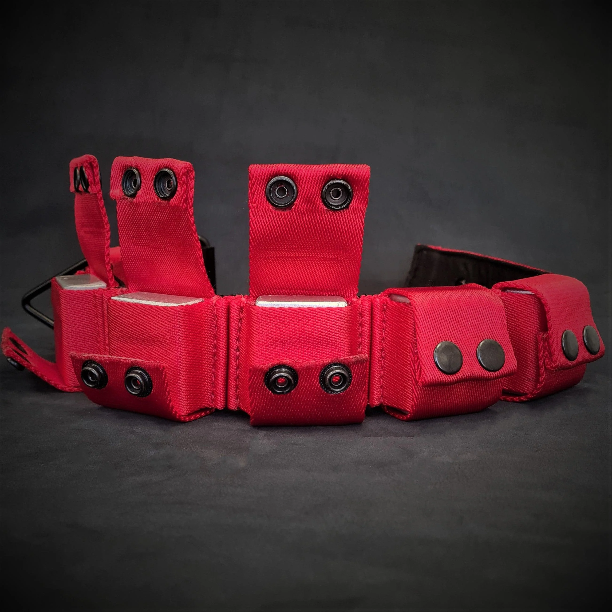 Weighted dog training collar- Red. Large breeds. 5 lbs total. removable weights - Image 4