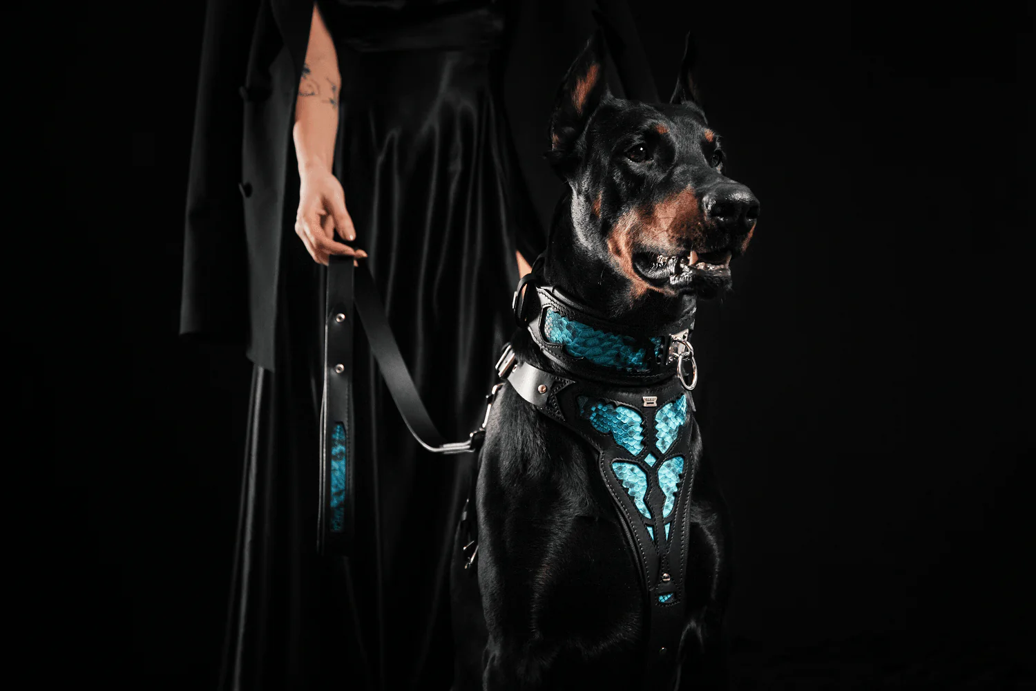The ''Morelia Python'' harness - Image 5
